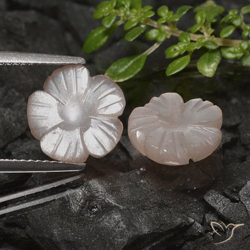 4.83ctw Natural Marrón caramelo claro Piedra de Luna, Corte Flor, Translúcido
