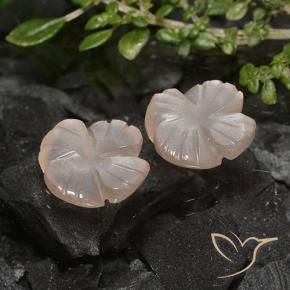 Gemas de Piedra de Luna Marrón muy claro natural de 4.26 ct, Corte Flor, Translúcido