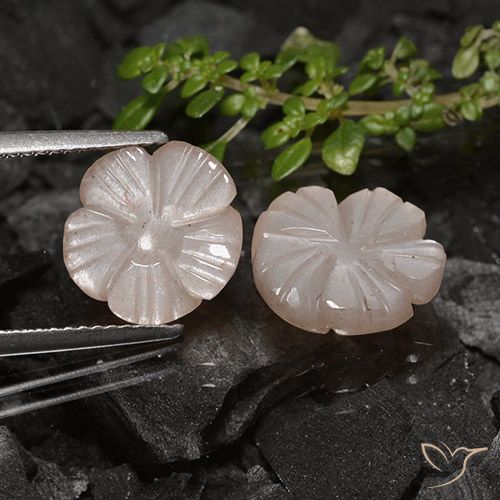 6.44ctw Natural Marrón pálido Piedra de Luna, Corte Flor, Translúcido