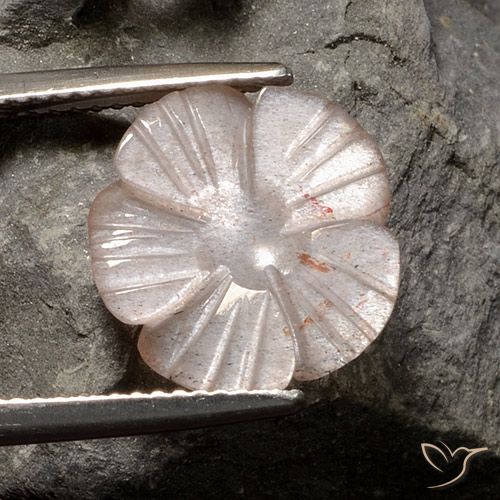 4.07ct Natural Marrón neutral Piedra de Luna, Corte Flor, Translúcido