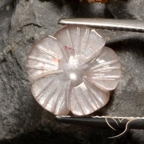 Piedra de Luna Marrón neutral natural de 4.07 ct, Corte Flor, Translúcido