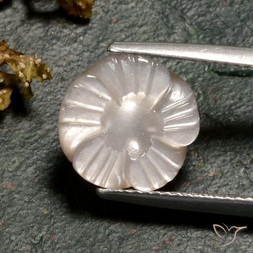 4.02ct Natural Marrón caramelo claro Piedra de Luna, Corte Flor, Translúcido