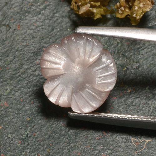 3.00ct Natural Marrón caramelo claro Piedra de Luna, Corte Flor, Translúcido