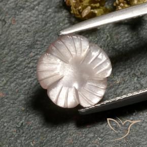 Piedra de Luna Marrón caramelo claro natural de 3.00 ct, Corte Flor, Translúcido