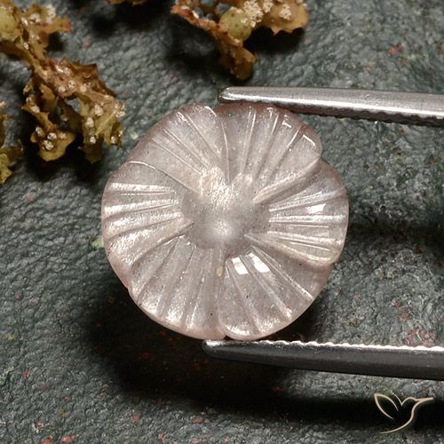 4.86ct Natural Marrón muy claro Piedra de Luna, Corte Flor, Translúcido