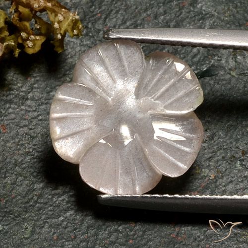 3.77ct Natural Marrón caramelo claro Piedra de Luna, Corte Flor, Translúcido