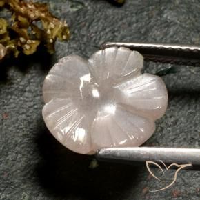 Piedra de Luna Marrón caramelo claro natural de 3.77 ct, Corte Flor, Translúcido