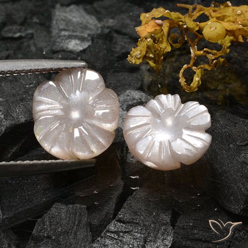 6.16ctw Natural Marrón muy claro Piedra de Luna, Corte Flor, Translúcido