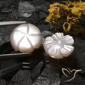 Gemas de Piedra de Luna Marrón muy claro natural de 6.16 ct, Corte Flor, Translúcido