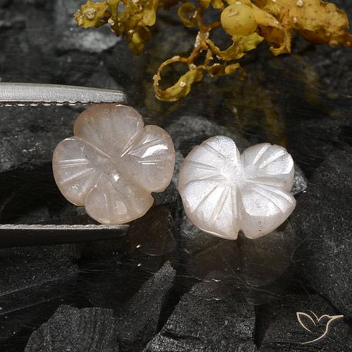 3.06ctw Natural Marrón muy claro Piedra de Luna, Corte Flor, Translúcido