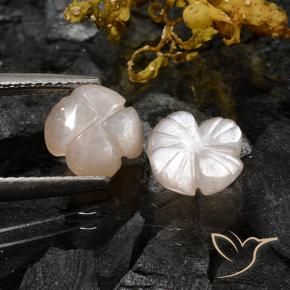 Gemas de Piedra de Luna Marrón muy claro natural de 3.06 ct, Corte Flor, Translúcido