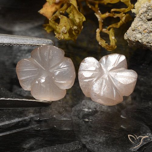 2.36ctw Natural Marrón muy claro Piedra de Luna, Corte Flor, Translúcido