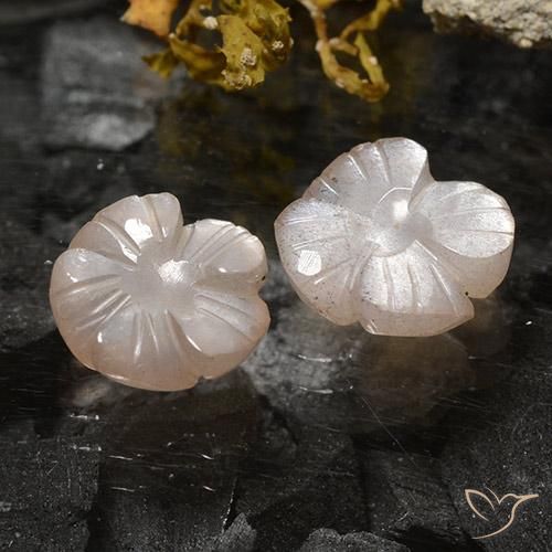 Gemas de Piedra de Luna Marrón caramelo claro natural de 3.75 ct, Corte Flor, Translúcido