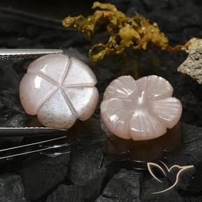 Gemas de Piedra de Luna Marrón muy claro natural de 10.47 ct, Corte Flor, Translúcido