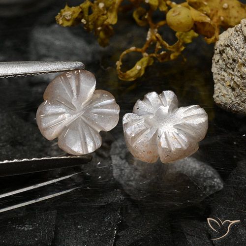 2.37ctw Natural Marrón caramelo claro Piedra de Luna, Corte Flor, Translúcido