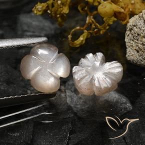 Gemas de Piedra de Luna Marrón caramelo claro natural de 2.37 ct, Corte Flor, Translúcido