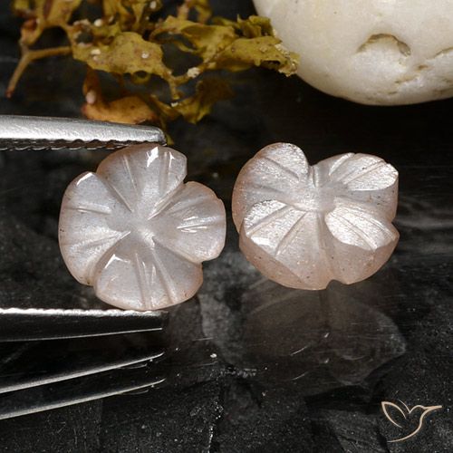 3.40ctw Natural Rosado muy claro Piedra de Luna, Corte Flor, Translúcido