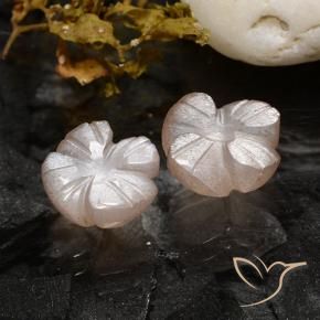 Gemas de Piedra de Luna Rosado muy claro natural de 3.40 ct, Corte Flor, Translúcido