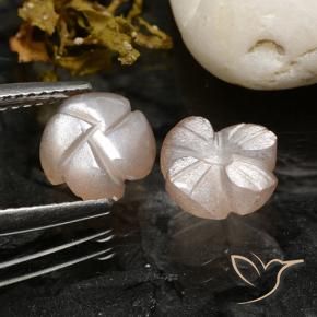 Gemas de Piedra de Luna Rosado muy claro natural de 3.40 ct, Corte Flor, Translúcido