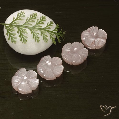 15.68ctw Natural Rosado muy claro Piedra de Luna, Corte Flor, Translúcido