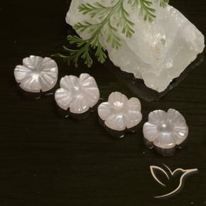 Gemas de Piedra de Luna Rosado muy claro natural de 5.66 ct, Corte Flor, Translúcido