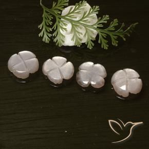 Gemas de Piedra de Luna Rosado muy claro natural de 5.72 ct, Corte Flor, Translúcido