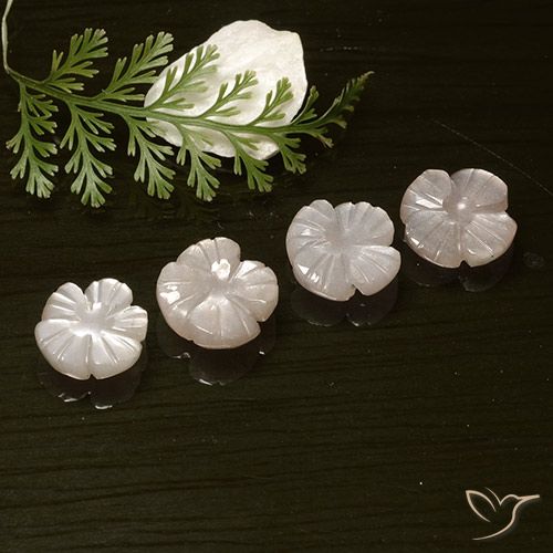 8.18ctw Natural Rosado muy claro Piedra de Luna, Corte Flor, Translúcido