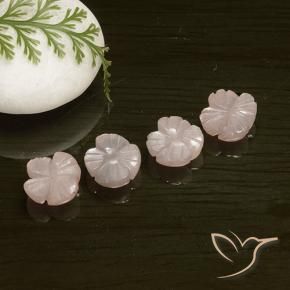 Gemas de Piedra de Luna Rosado muy claro natural de 7.22 ct, Corte Flor, Translúcido