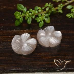 Gemas de Piedra de Luna Marrón muy claro natural de 7.33 ct, Corte Flor, Translúcido