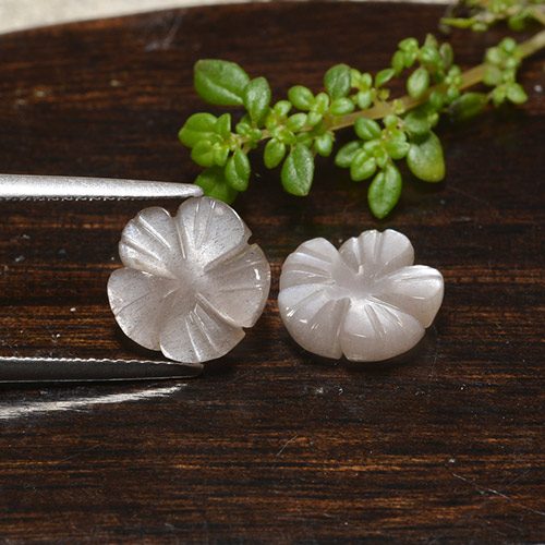 Gemas de piedra de luna marrón natural de 5,11 ct, corte flor, translúcido