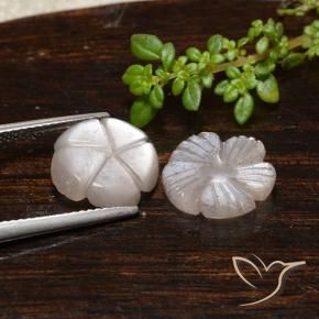Gemas de Piedra de Luna Marrón muy claro natural de 6.11 ct, Corte Flor, Translúcido