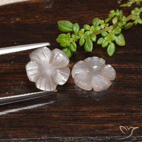 3.90ctw Natural Marrón muy claro Piedra de Luna, Corte Flor, Translúcido