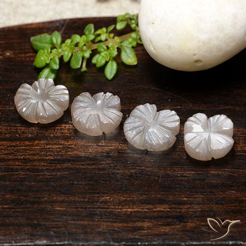 7.00ctw Natural Marrón caramelo claro Piedra de Luna, Corte Flor, Translúcido