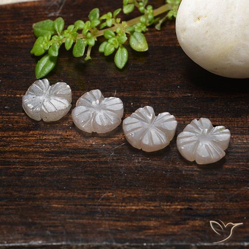 3.99ctw Natural Marrón caramelo claro Piedra de Luna, Corte Flor, Translúcido