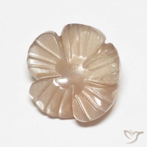 4.14ct Natural Marrón muy claro Piedra de Luna, Corte Flor, Translúcido