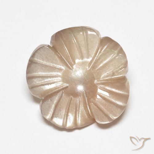 Piedra de Luna Marrón muy claro natural de 4.14 ct, Corte Flor, Translúcido