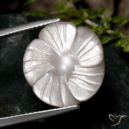 9.33ct Natural Marrón pálido Piedra de Luna, Corte Flor, Translúcido