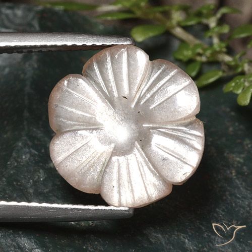 5.24ct Natural Marrón muy claro Piedra de Luna, Corte Flor, Translúcido