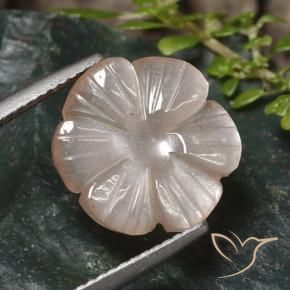 Piedra de Luna Marrón muy claro natural de 5.24 ct, Corte Flor, Translúcido