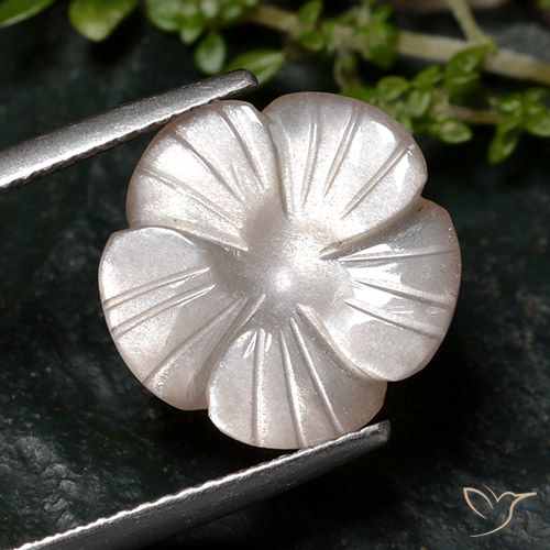 6.68ct Natural Marrón muy claro Piedra de Luna, Corte Flor, Translúcido