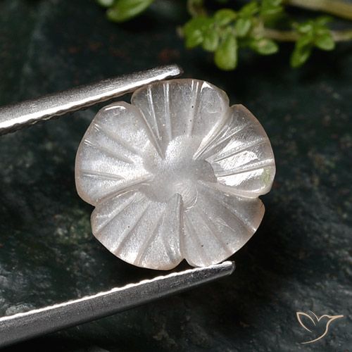2.76ct Natural Marrón muy claro Piedra de Luna, Corte Flor, Translúcido