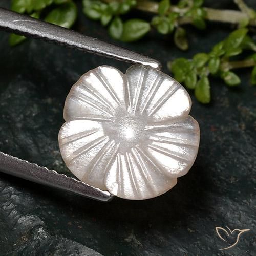 Piedra de Luna Marrón nuez claro natural de 2.46 ct, Corte Flor, Translúcido