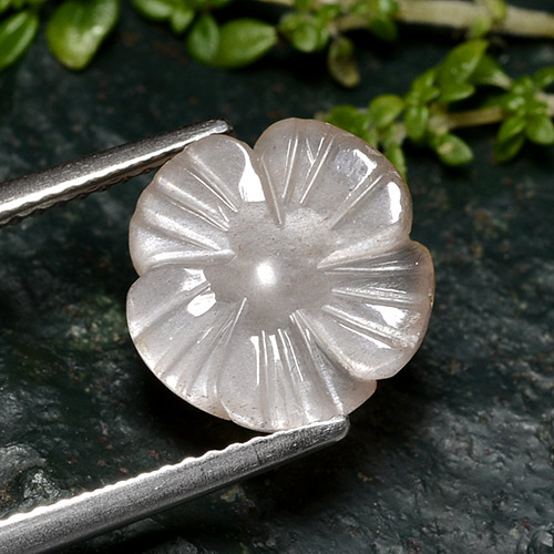 Piedra de luna rosa natural de 3,60 ct, corte flor, translúcido