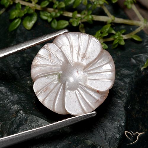 8.04ct Natural Marrón pálido Piedra de Luna, Corte Flor, Translúcido