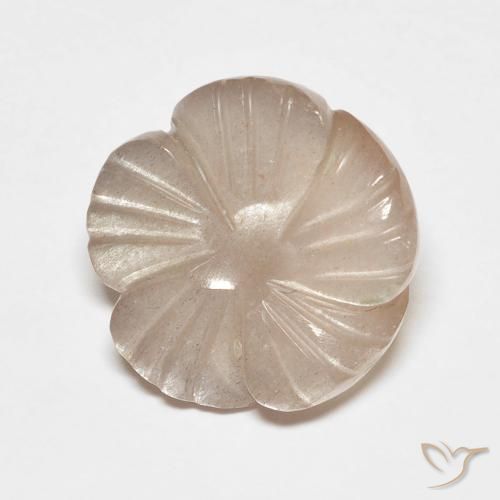 5.53ct Natural Marrón caramelo claro Piedra de Luna, Corte Flor, Translúcido
