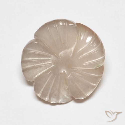 Piedra de Luna Marrón caramelo claro natural de 5.53 ct, Corte Flor, Translúcido