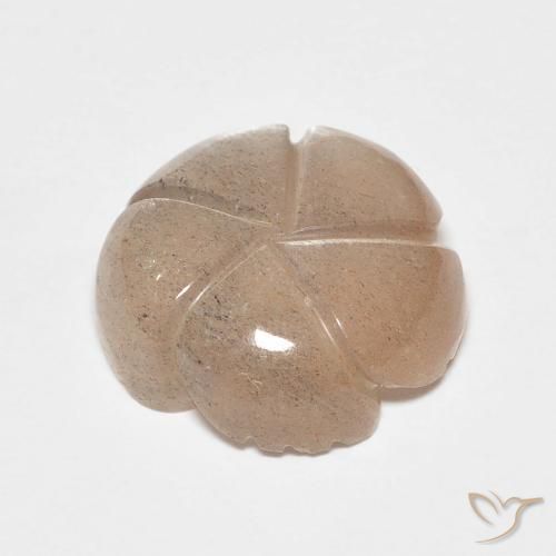 Piedra de Luna Marrón caramelo claro natural de 5.53 ct, Corte Flor, Translúcido