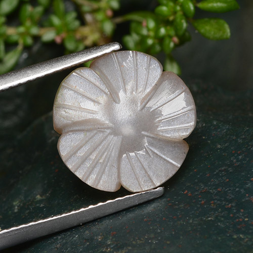 Piedra de luna marrón natural de 5,29 ct, corte flor, translúcido