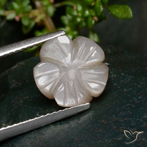 3.25ct Natural Marrón muy claro Piedra de Luna, Corte Flor, Translúcido