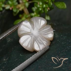Piedra de Luna Marrón muy claro natural de 3.25 ct, Corte Flor, Translúcido